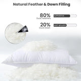 Duck Feather & Down Pillows