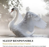 Goose Feather & Down Duvet Quilt 13.5 Tog