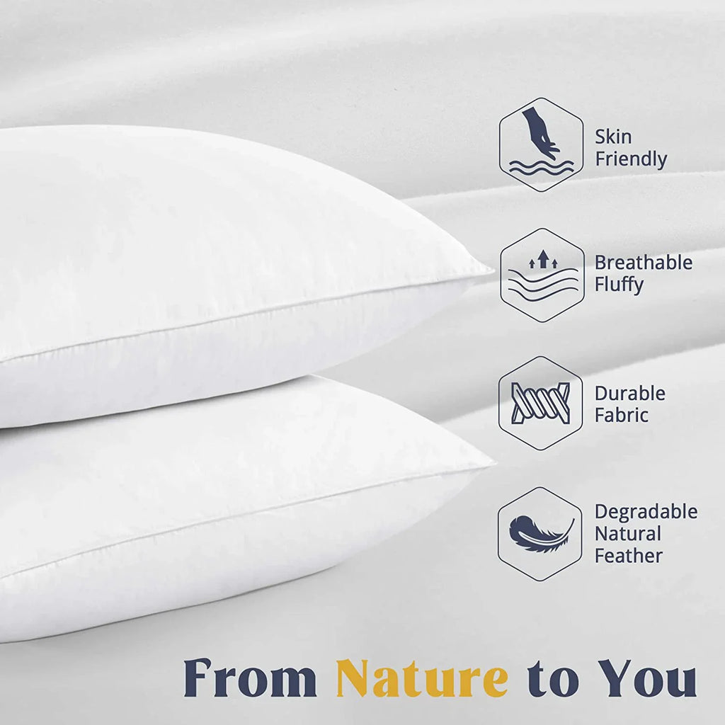 Goose Feather & Down Pillows