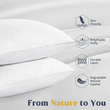 Goose Feather & Down Pillows
