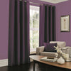 Faux Silk Lined Curtains