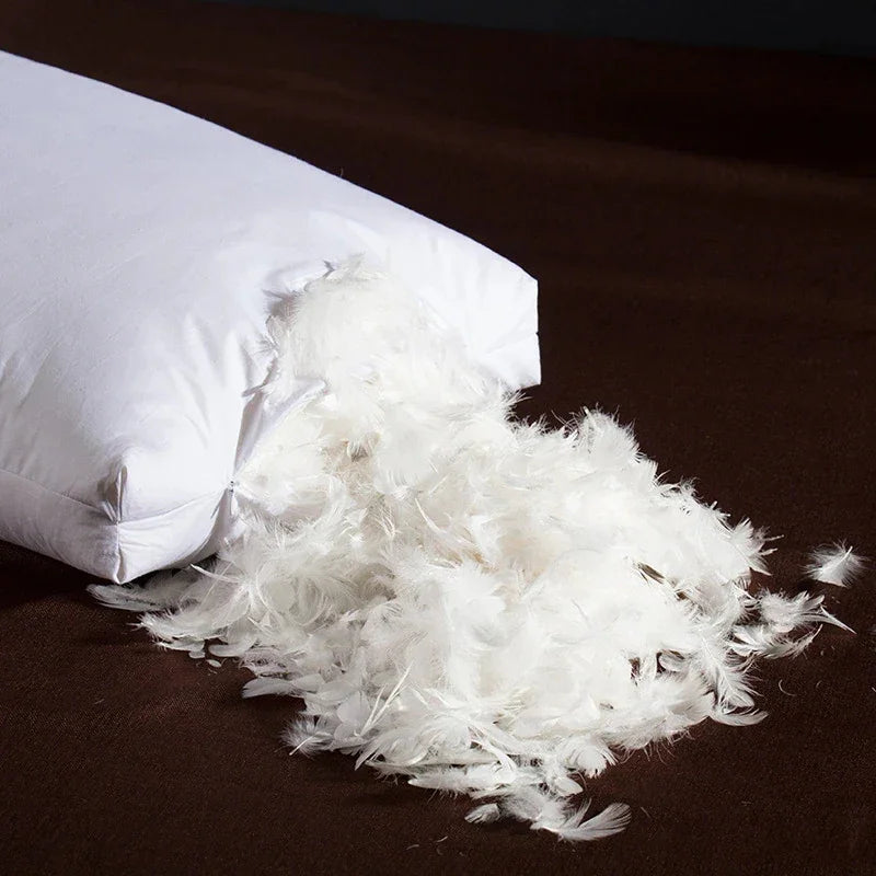Goose Feather & Down Pillows