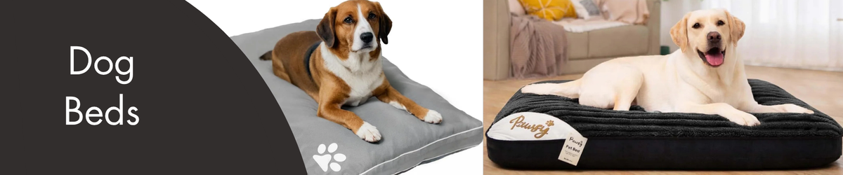Dog Beds