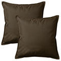 Color_Brown