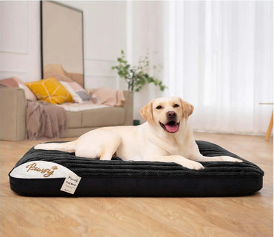 Dog Beds