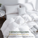 Goose Feather & Down Duvet Quilt 13.5 Tog