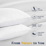 Goose Feather & Down Pillows