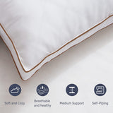 Goose Feather And Down Box Pillows