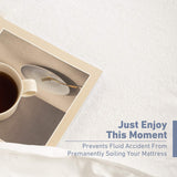 Terry Towel Waterproof Mattress Protectors