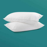 Bouce Back Anti Allergy Pillows