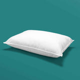 Bouce Back Anti Allergy Pillows